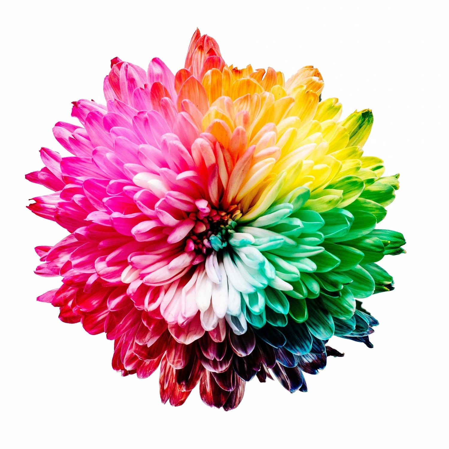 Color Psychology in UX Website Design and Logos - 7am Epiphany Design & Marketing